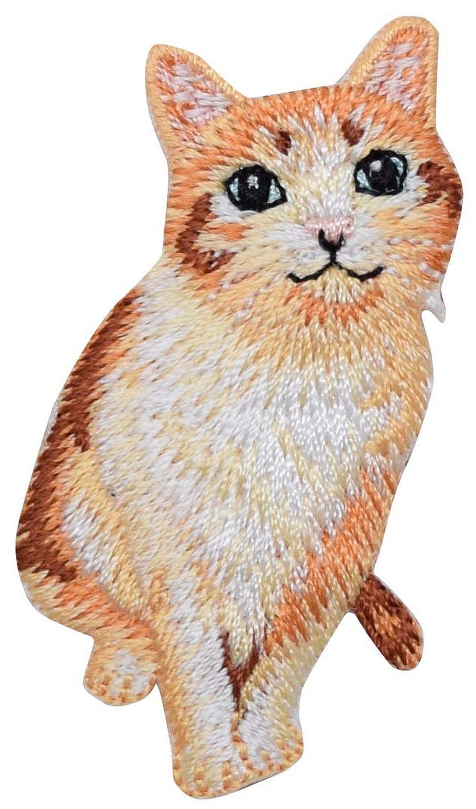 Amazon.com: Orange Tabby Cat, Pets, Realistic, Kitten, Animals